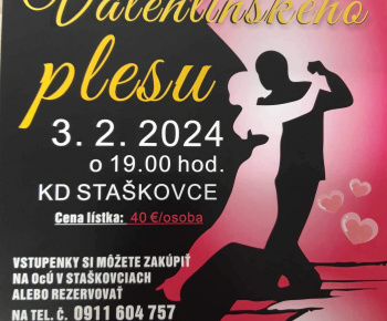 Aktuality / Valentínsky ples 4. ročník - foto