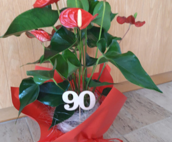 Aktuality / Najstarší občan obce Staškovce oslávil svoje 90.ročné jubileum - foto