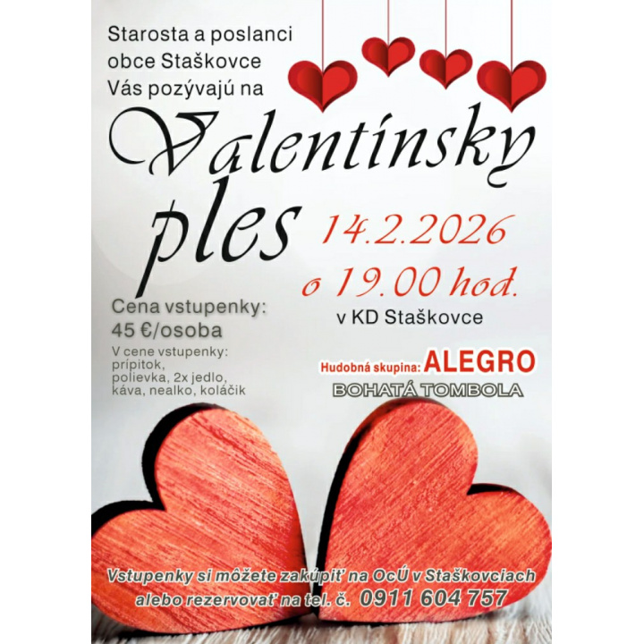 Valentínsky ples VI. ročník